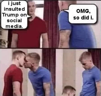 snowflakes133