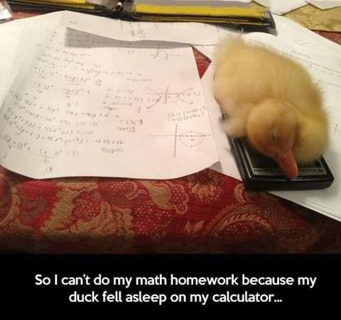 11:12:10 GMT-0700 (PDT)