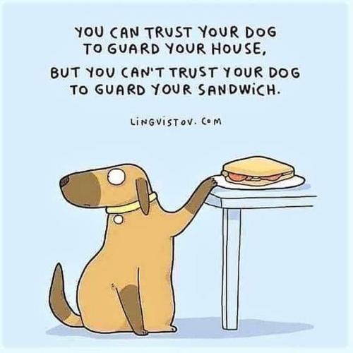 10:10:43 GMT-0500 (CDT)