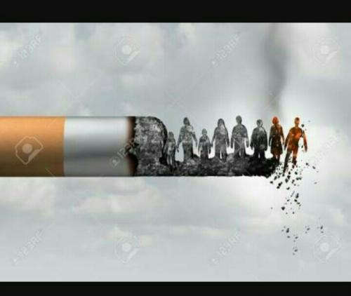 28783547_10156510406629384_3196549695987557978_n