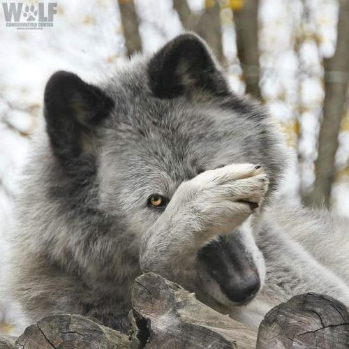 09:13:44 GMT-0500 (CDT)