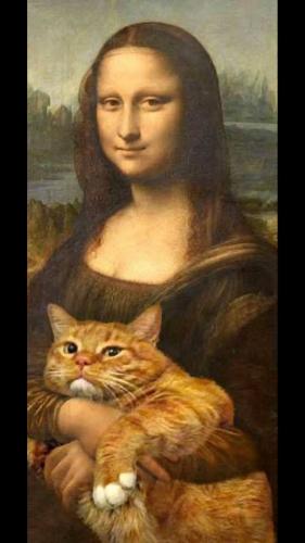 70423885_514862055751733_1538085856655441920_n