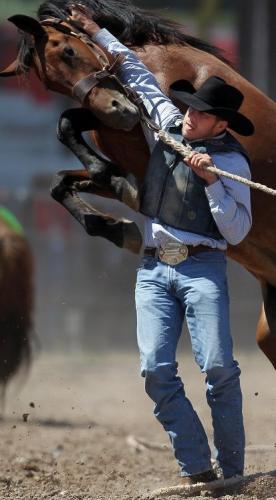 1a10d688d892c7495fee6fed97e99c41