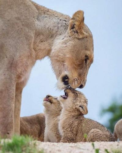 22:17:27 GMT-0500 (CDT)