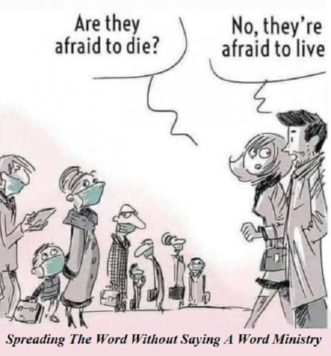 174068358_4472504489432845_68492641032401812_n