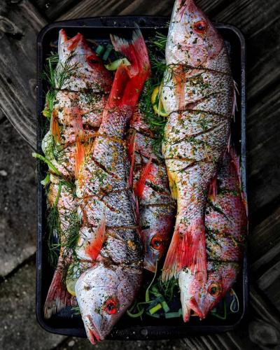 167476771_5239028306138532_2559259570943751983_n