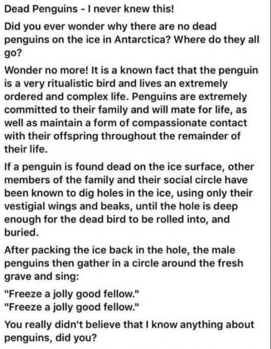 19:48:24 GMT-0400 (EDT)