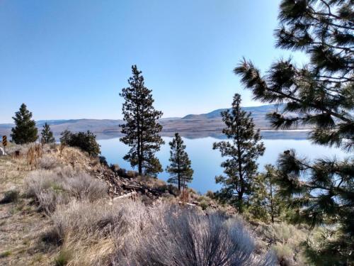 IMG_20210415_092942902_HDR