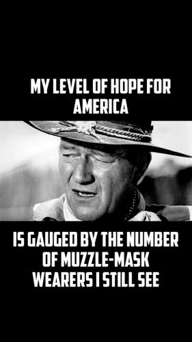 BE9D3A5A-206C-486C-9B6D-1C5D3B46A5B6-15769-00000DDB5B1BBF8B