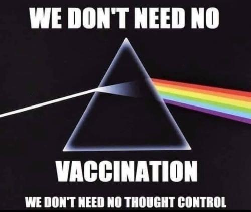 175559979_256181702880819_7639271831299993739_n