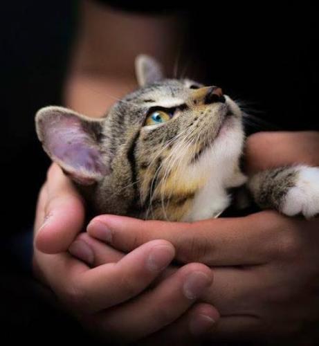 10380751_445980068893693_6236862414608891070_n