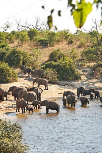 178808347_1562633970602614_9082039810650801846_n