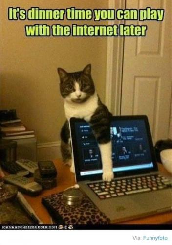 81670197_176739720395166_4478896878154416128_n