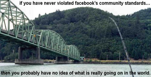 community standards08
