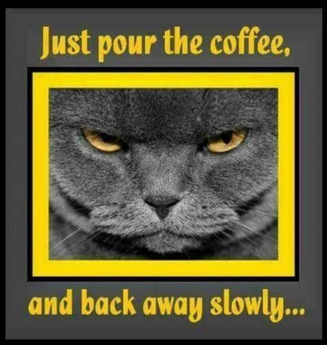 597AE929-BEAC-4A8F-B61D-42C31F7A7557