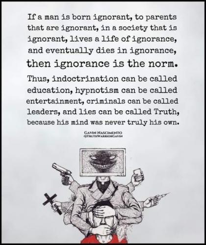 Ignorance_By_Gavin_Nascimento