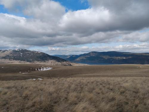 IMG_20210402_104251539