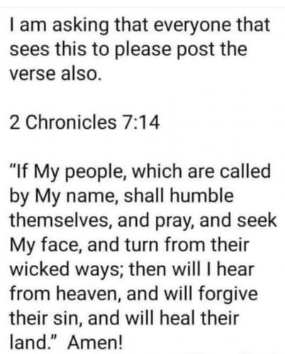 40CCC11E-5F50-466C-9B05-BC428EFA35E6-7891-0000058C9439AAE9