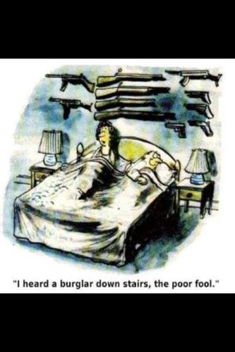 1501757_1384273918461662_842297364_n