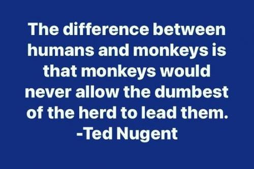 11:12:32 GMT-0500 (CDT)