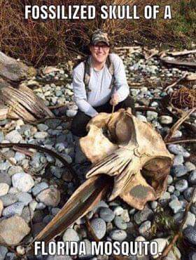 14:30:02 GMT-0400 (EDT)