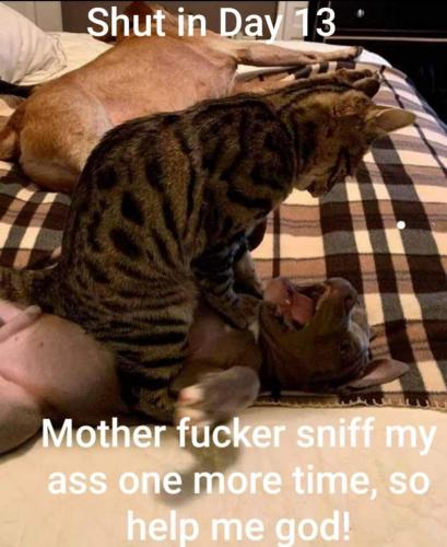 90268217_203917094225191_6774151371349295104_o