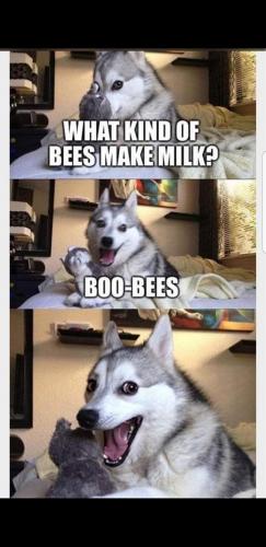 17:36:42 GMT-0400 (EDT)