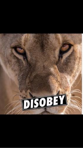 17:54:59 GMT-0400 (EDT)