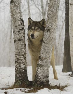 69fa9a151a69e3db9ea2dd48f19c0975