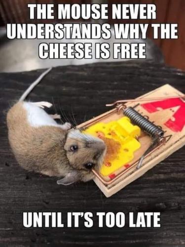 12:33:48 GMT-0700 (PDT)