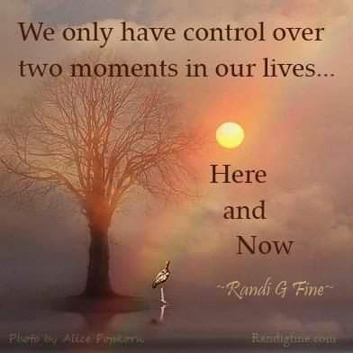 80560924_1480541198786688_6490621729528872960_n