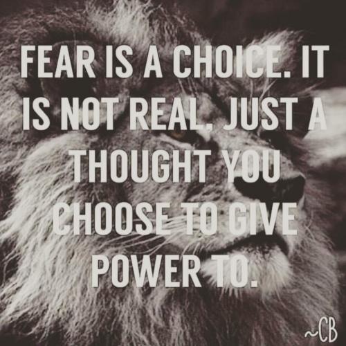 IMG_20210428_040734_289