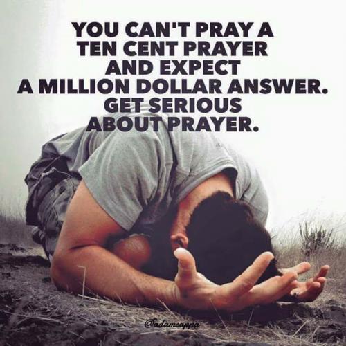 17553585_1403338793060680_4774313455312671552_n