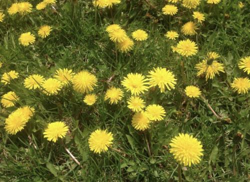 08:22:05 GMT-0400 (EDT).image