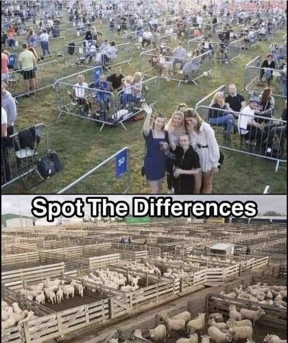 Spot the Differences