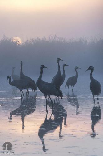 177993697_1560632000802811_1799655064360429639_n