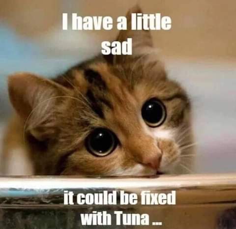 21:33:59 GMT-0700 (PDT)