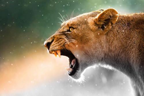 171729094_1551156771750334_323478208114266356_n