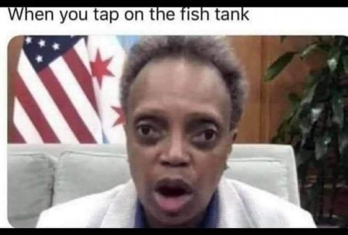 23:49:46 GMT-0400 (EDT)