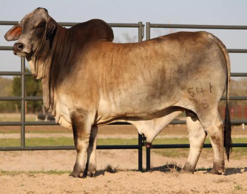 169321115_474800827198543_6152310288633810233_n