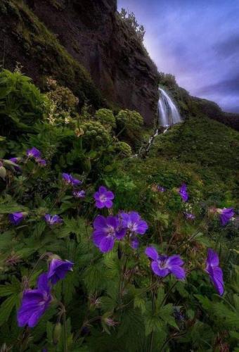 175895287_166310668726013_3424214833413690475_n