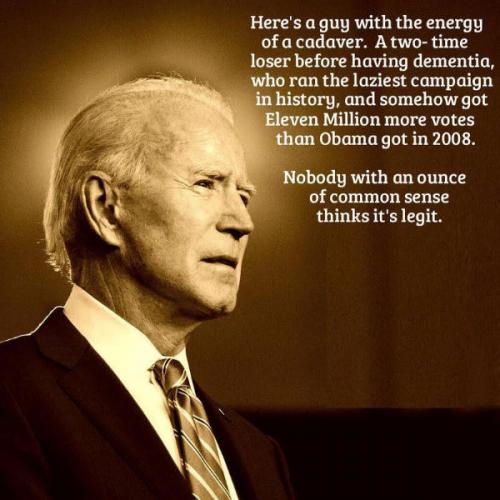 biden486