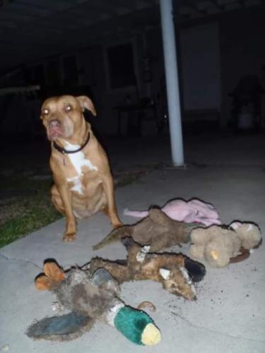 13:33:06 GMT-0700 (PDT)