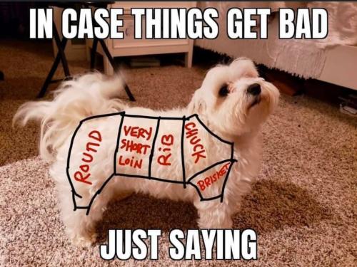 92053136_3213362722007625_5865542750593613824_n