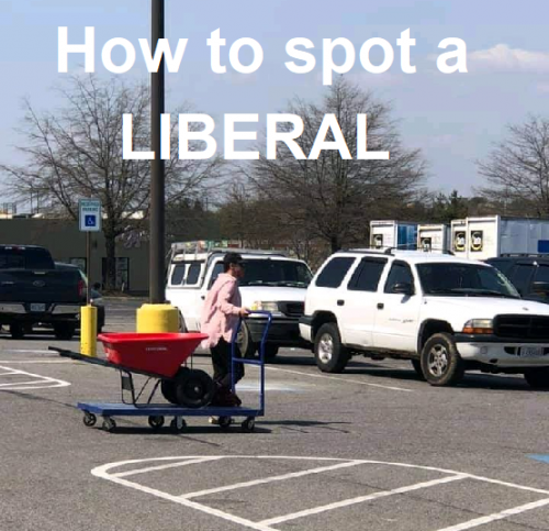 howtospotaliberal