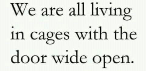 10:16:23 GMT-0500 (CDT)