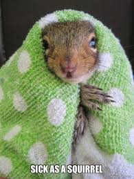 11:13:54 GMT-0400 (EDT)