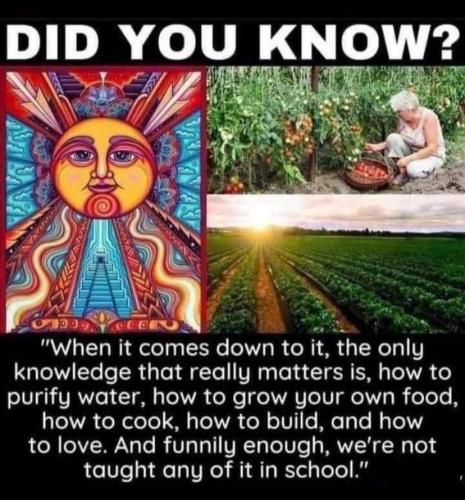 C6A3B4D1-32CD-4F59-B1A5-8FACD3519EEF