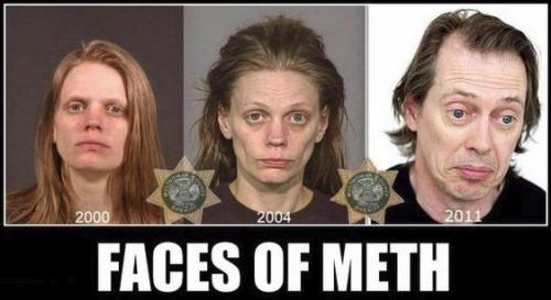 faces of meth