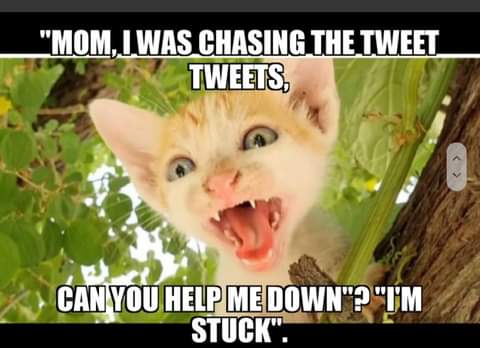 21:23:28 GMT-0700 (PDT)